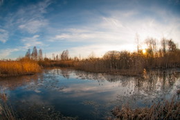 Lake / ***