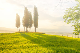 &nbsp; / tuscany