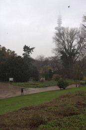 Batonichesky garden / ***