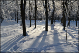 Winter Park / ***