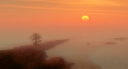 Nebligen Morgen ... / ***