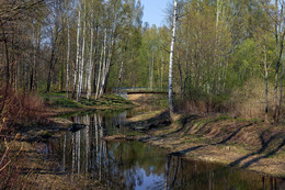 Spring is coming / ***