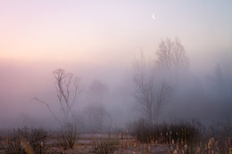 Morning / ***