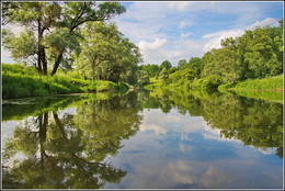 Summer landscape / ***