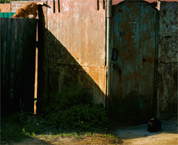 &nbsp; / [img]http://i11.pixs.ru/storage/2/8/3/DSC0106ajp_6342324_21824283.jpg[/img]
