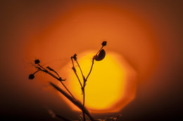 On the sunset / ***