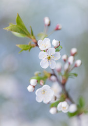 May / ***