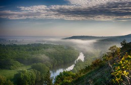 Foggy morning / ***