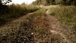 Weg / ***