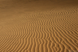 Desert / ***
