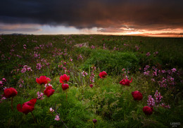 May evening / ***
