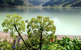 At the lake ... / ***