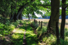 Schattenweg / ---