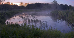 Dawn / ***