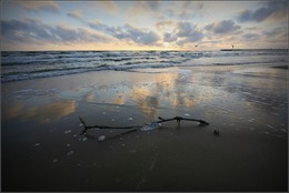 Abend / ***