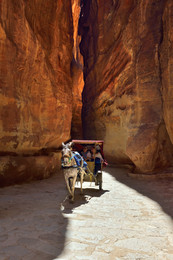  / A horse carriage in a gorge, Siq canyon in Petra, Jordan