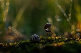 Two / ***
