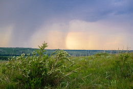 May rain / ***