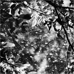 May rain / ...