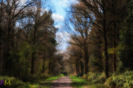 Wanderer / ***