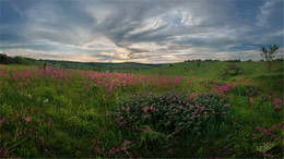 Last day of spring / ***