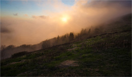 Der Nebel / ***
