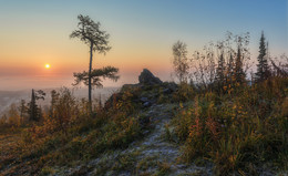 Foggy sunrise / ***