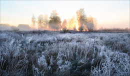 Am Ortsrand. / ***