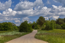The road in the summer / ***