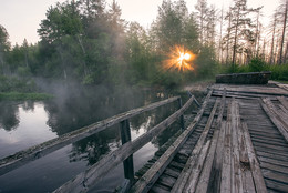 Bridge / ***