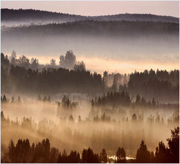 Morgennebel / ***