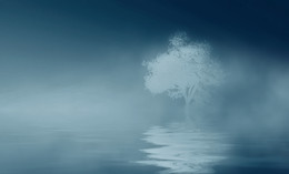 Lonely ... / ***