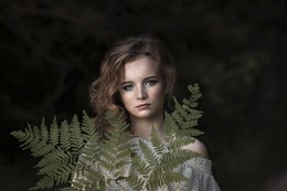  / ***
