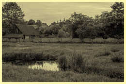 Summer Evening / ***