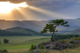 Evening in the Mountains / ***