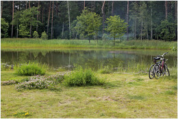 Der Abend im Park / ***