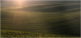 Empty Field / ***
