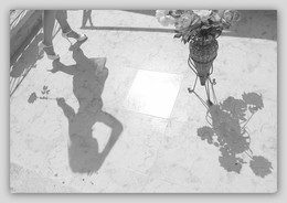 Shadows / ***