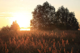 Sunrise / ___________________*
