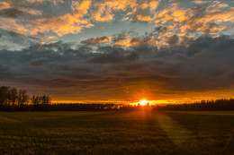 Sunset / ***