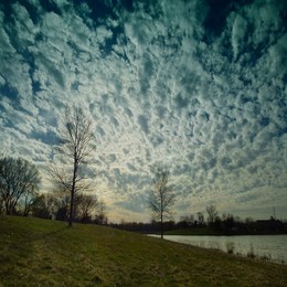Clouds float / ***