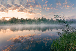 Morning fog / ***