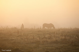 Rustic Morgen / ***