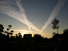 Dachnoe morning / ***