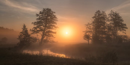 Foggy morning / ***
