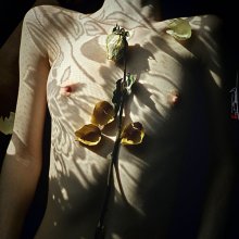 Fatigue / *****