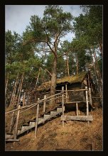About the house in the woods. / *****