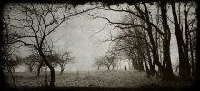 Untitled / shara_by