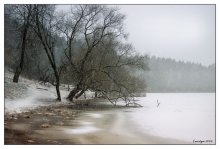 Last Snow / ***