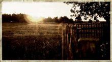Dorf / ***